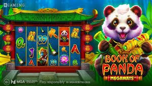 dhaka77 sports betting hero image with a bright cricket-focused mobile layout